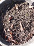 IMG_20220213_134612.jpg