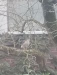 IMG_20220213_172325.jpg