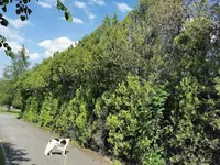 IMG_20210607_155402.webp