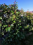 IMG_20220214_093245.jpg