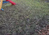 20220212_162438.webp