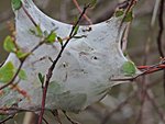 IMG_6042.JPG