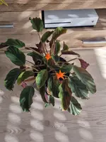 20220219_111940.webp