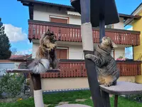 20220219_133700.webp