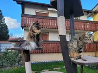 20220219_133702.webp