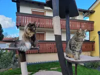 20220219_133704.webp