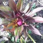 20220219_134033.webp