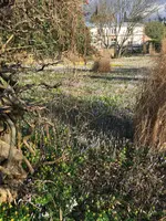 Hermannshof_2022-02_02.jpg