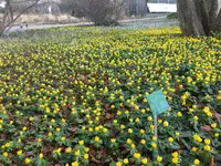 Hermannshof_2022-02_06.jpg