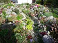P1070251.webp