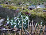 DSC02287.JPG
