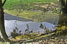 IMG_3859 v (2).webp