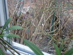 DSC02289.JPG