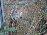 DSC02290.JPG