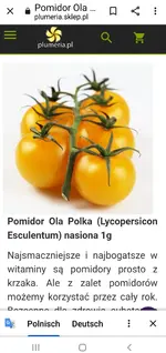 Screenshot_20220222-000328_Chrome.webp