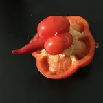 Launen der Natur_11_Paprika.jpg