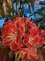 20220222_073644.webp