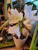 20220222_073459.webp
