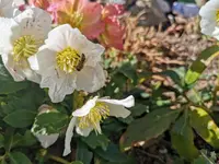 IMG_20220222_115745.webp