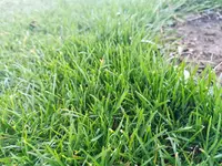 IMG_20220222_170004.jpg