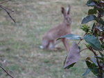 DSC02293.JPG