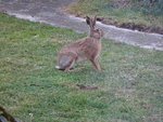 DSC02295.JPG