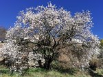 IMG_20220208_103239.jpg