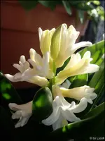 c041.webp