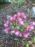 IMG_20220223_160214_1.webp