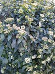 IMG_20220223_160220_1.jpg