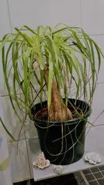 20220223_210559.webp