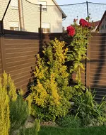 20220224_133032.webp 20220224_133032.webp