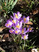 P1060773.webp