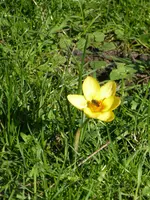 P1060810.webp