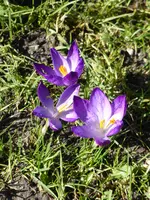 P1060812.webp