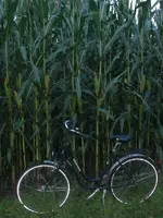 CIMG2228.webp