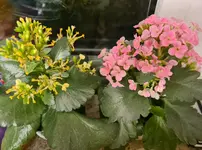 20220226_225551.jpg