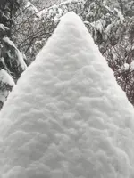 DSCN6600 (2).webp