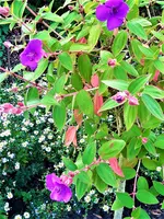 IMG_20210910_151615_2.webp