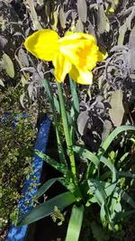 20220227_125759.webp