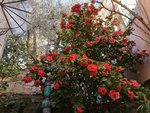 IMG_20220202_165045.jpg