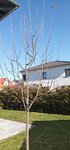 IMG_20220228_131359_593.jpg