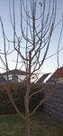 IMG_20220228_172628_190.jpg
