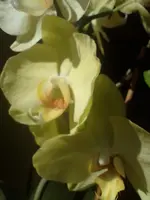 IMG_20220228_123025.webp