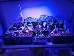 IMG_20220228_193750.jpg