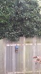 IMG-20220223-WA0000.jpg