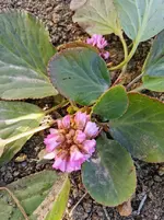 IMG_20220222_115626.webp