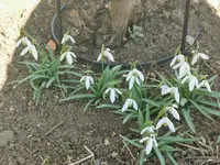 IMG_20220222_115901.webp