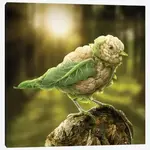 SPS4.webp