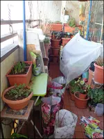 c047.webp